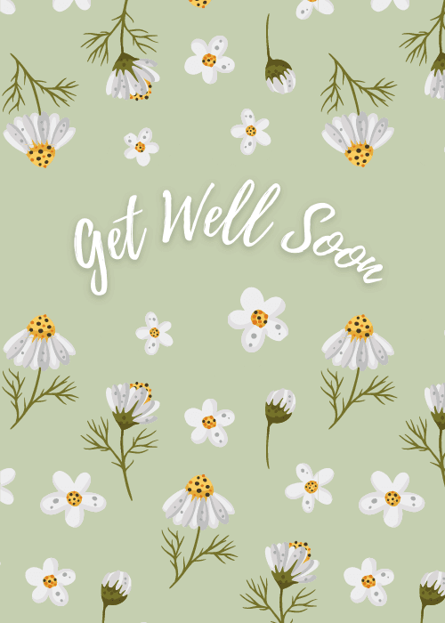 Get well soon card with bold illustrated white daisy flowers and green leaves on a clean light background