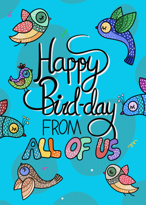 Animated colorful whimsical illustrated birds surrounding bold hand-lettered text reading Happy Bird-day From All of Us on a bright blue background