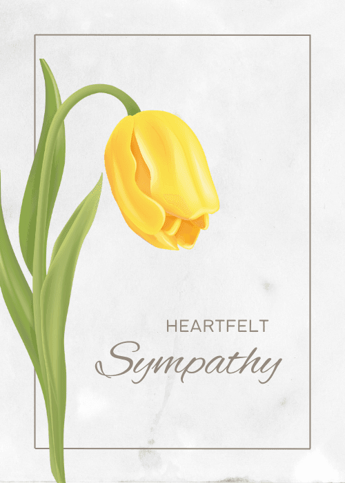 Single yellow tulip on a soft background with heartfelt sympathy text