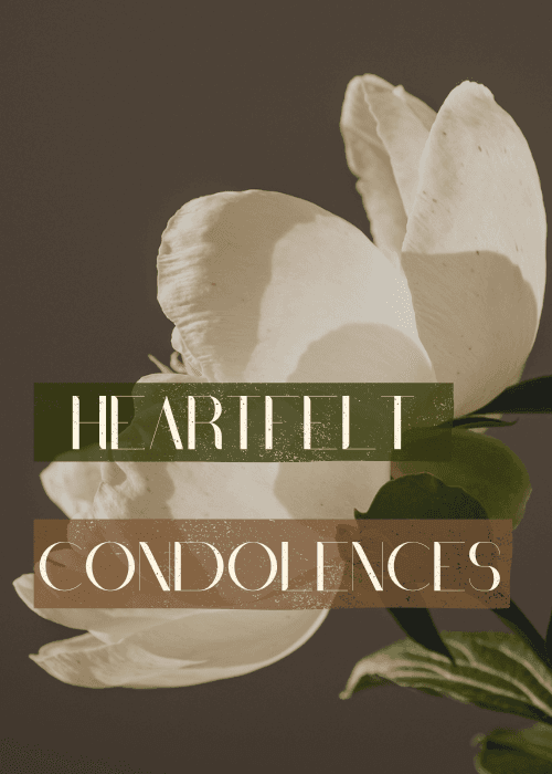 Close-up photograph of large white magnolia flowers with green leaves on a warm brown background, overlaid with two color-block text banners reading "HEARTFELT" in white serif on dark green and "CONDOLENCES" in white on brown