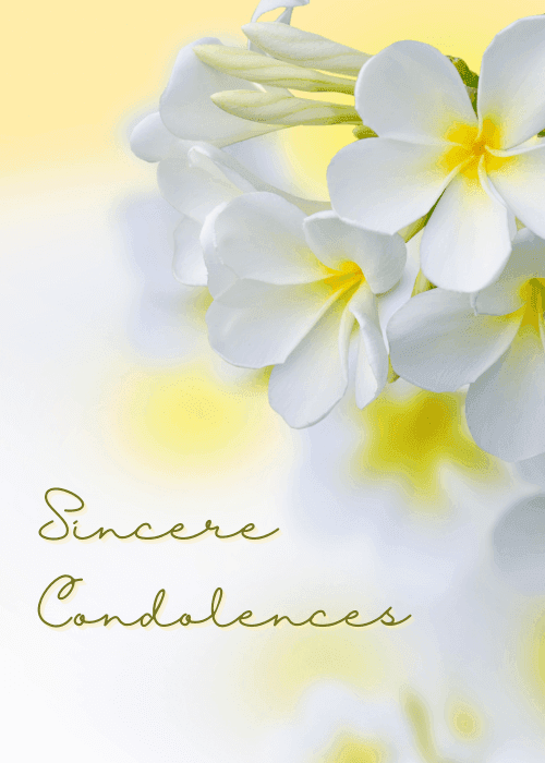 White plumeria flowers on a soft yellow background with condolences text