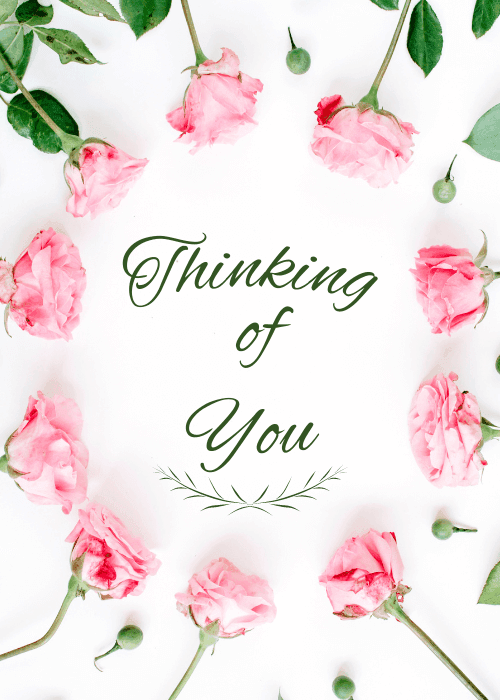 Circle of pink roses surrounding thinking of you script on a white background