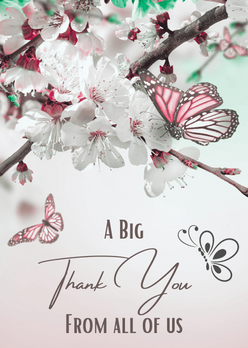 Elegant thank you card with a photographic cherry blossom branch and pink butterflies on a pale background with the text A Big Thank You From All of Us