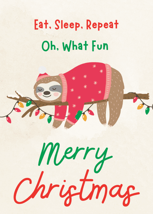 Cute sloth in a sweater napping on a branch with christmas lights