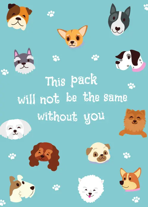 Cute illustrated faces of various dog breeds with paw prints and the text This pack will not be the same without you on a light teal background