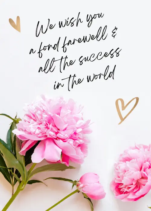 Farewell card with two large pink peonies on a white background and the handwritten message We wish you a fond farewell and all the success in the world