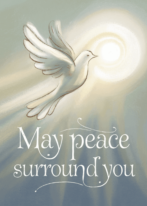Group sympathy card featuring a white dove in flight toward a glowing light with the message May peace surround you