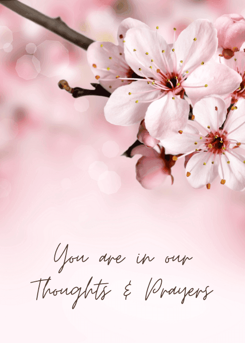Pink cherry blossoms with thoughts and prayers message on a pink background