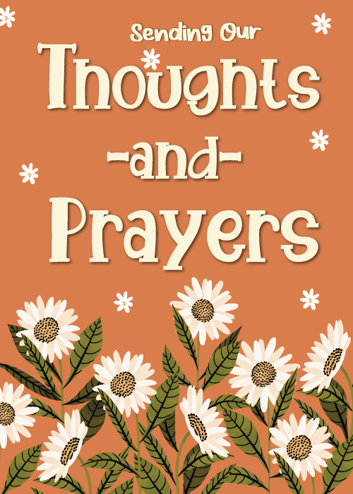 Sympathy card with warm terracotta orange background, dense illustrated garden of white daisy flowers with dark green leaves and stems covering the lower half, scattered small white snowflake accents, and bold cream serif text reading Sending Our Thoughts and Prayers