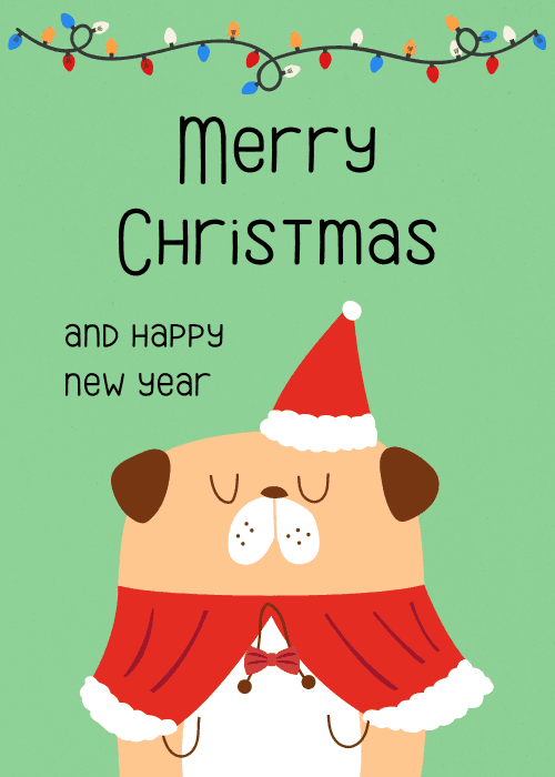 Cute pug in a Santa hat and cape with festive lights