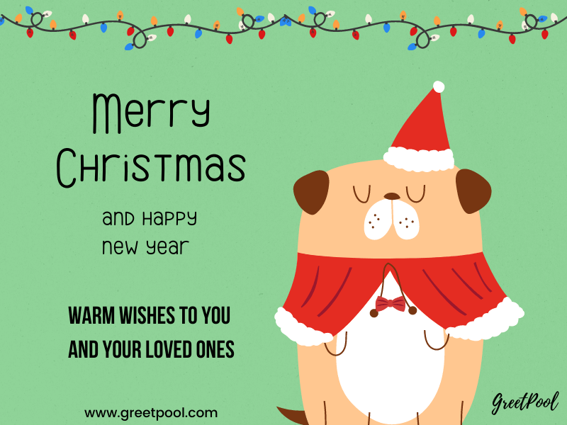funny christmas greeting card images and messages
