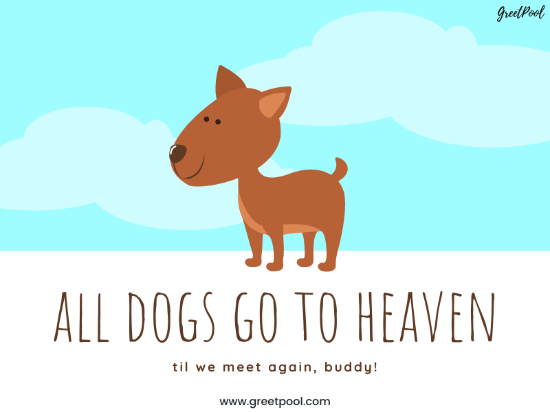 sympathy message for loss of a pet